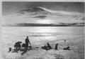 A dog-sledge team with Erebus in the background